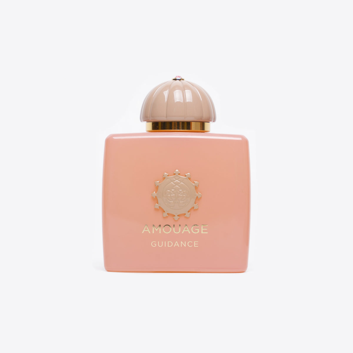 Buy Original AMOUAGE GUIDANCE EDP 100ML Price in Pakistan