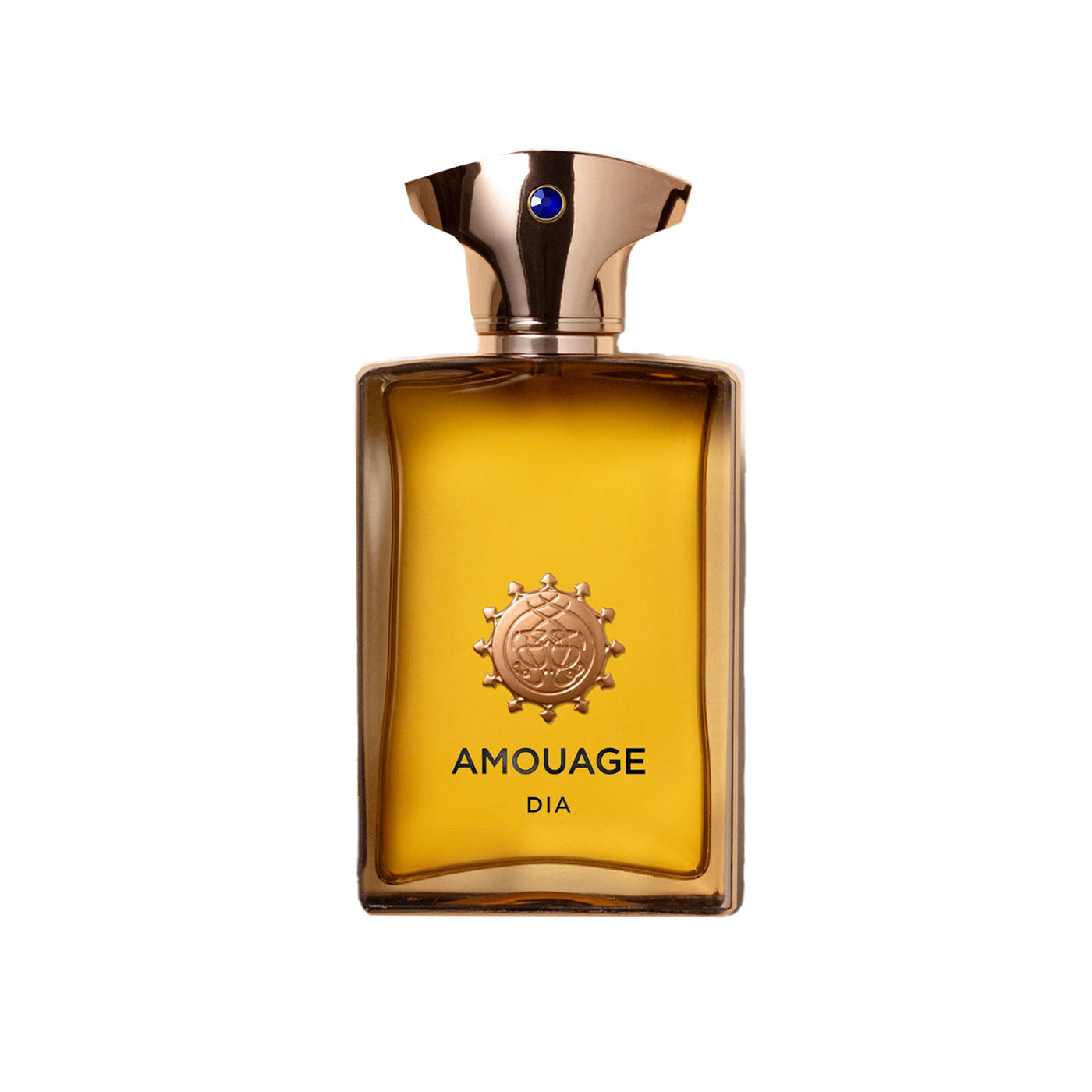 AMOUAGE DIA MAN EDP 100ML