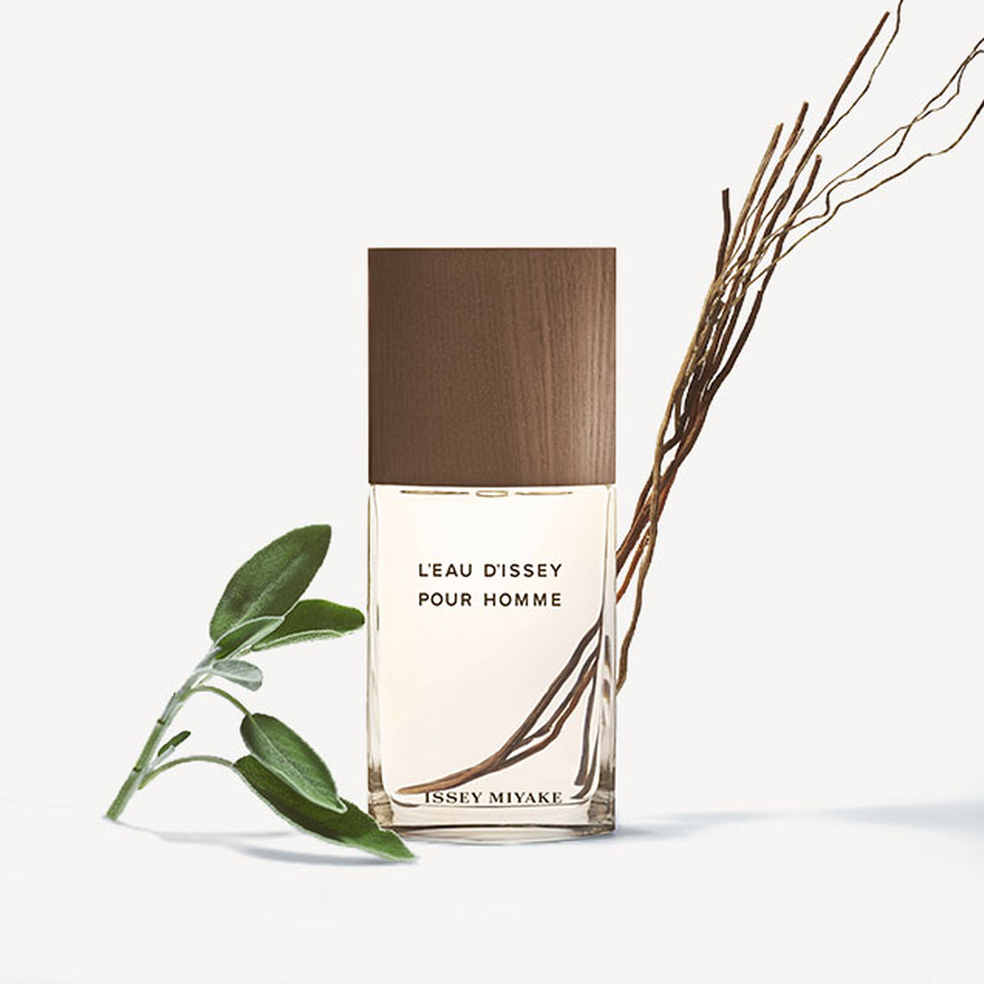 ISSEY MIYAKE L'EAU D'ISSEY POUR HOMME VETIVER INTENSE EDT 100ML