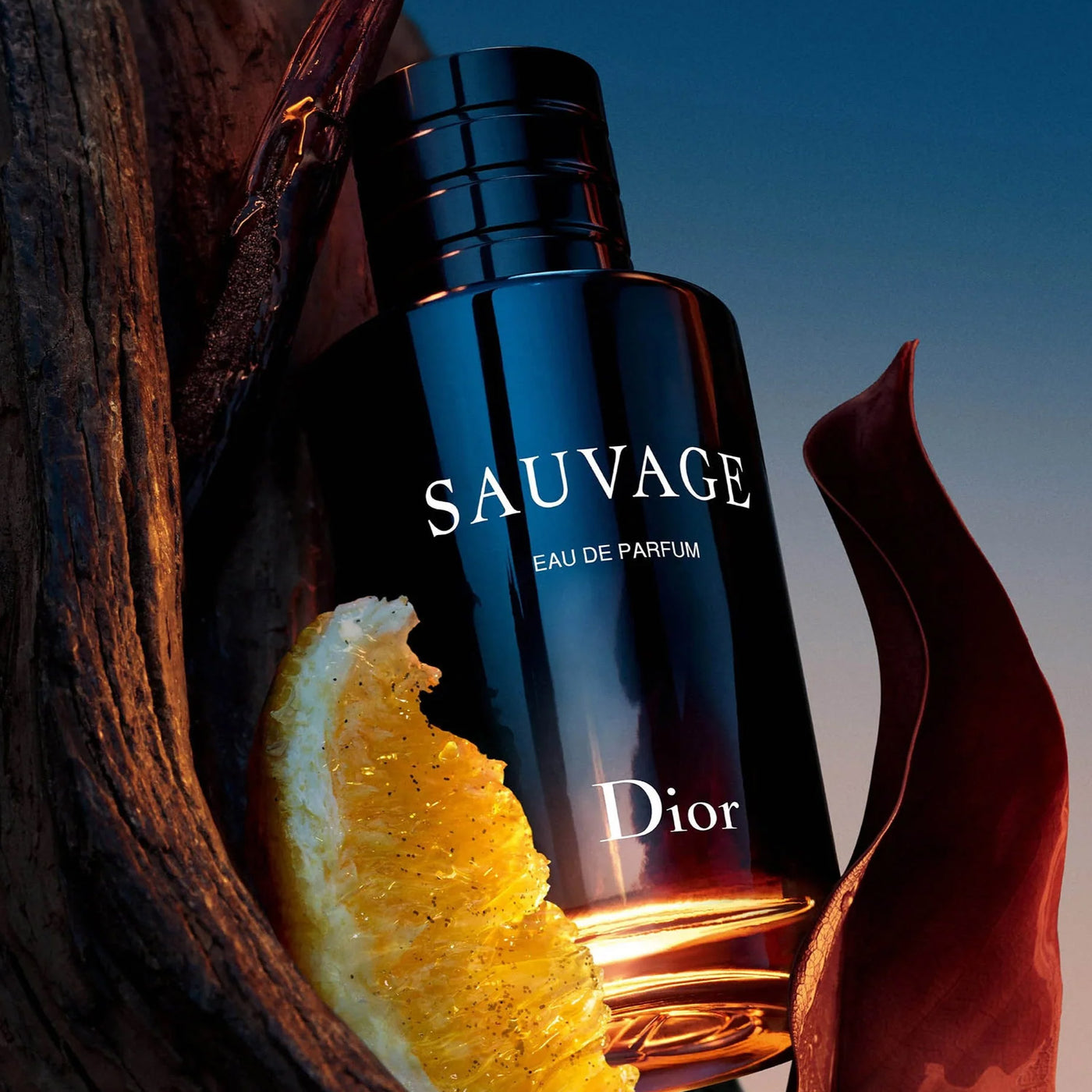 Perfume Cd Sauvage Parfum Dior Cd Sauvage Parfum Dior Sauvage