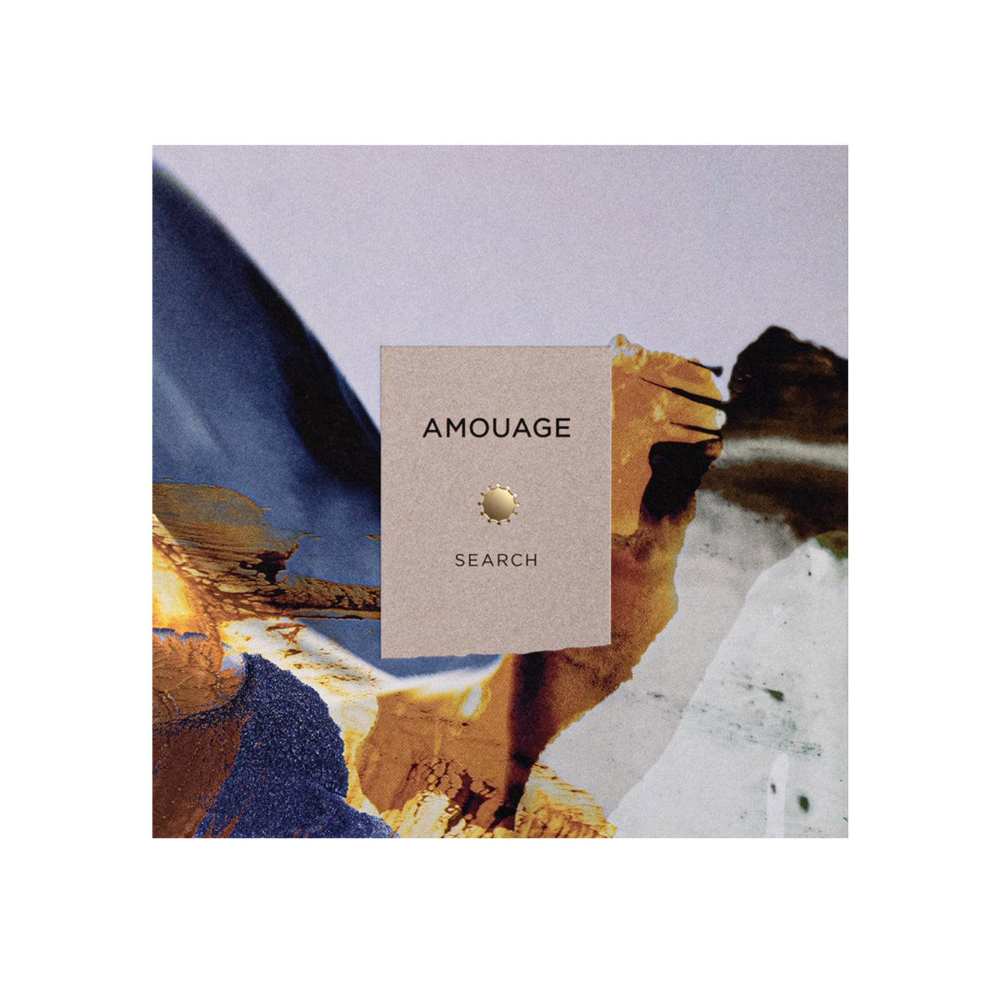 AMOUAGE SEARCH EDP 100ML