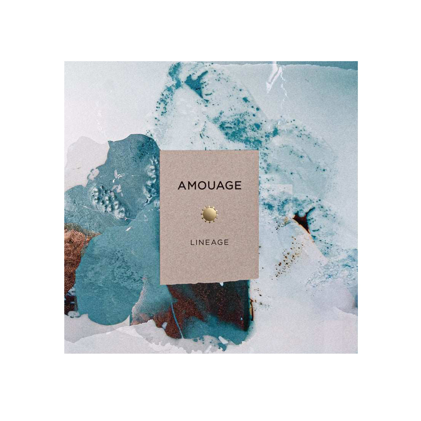 AMOUAGE LINEAGE EDP 100ML