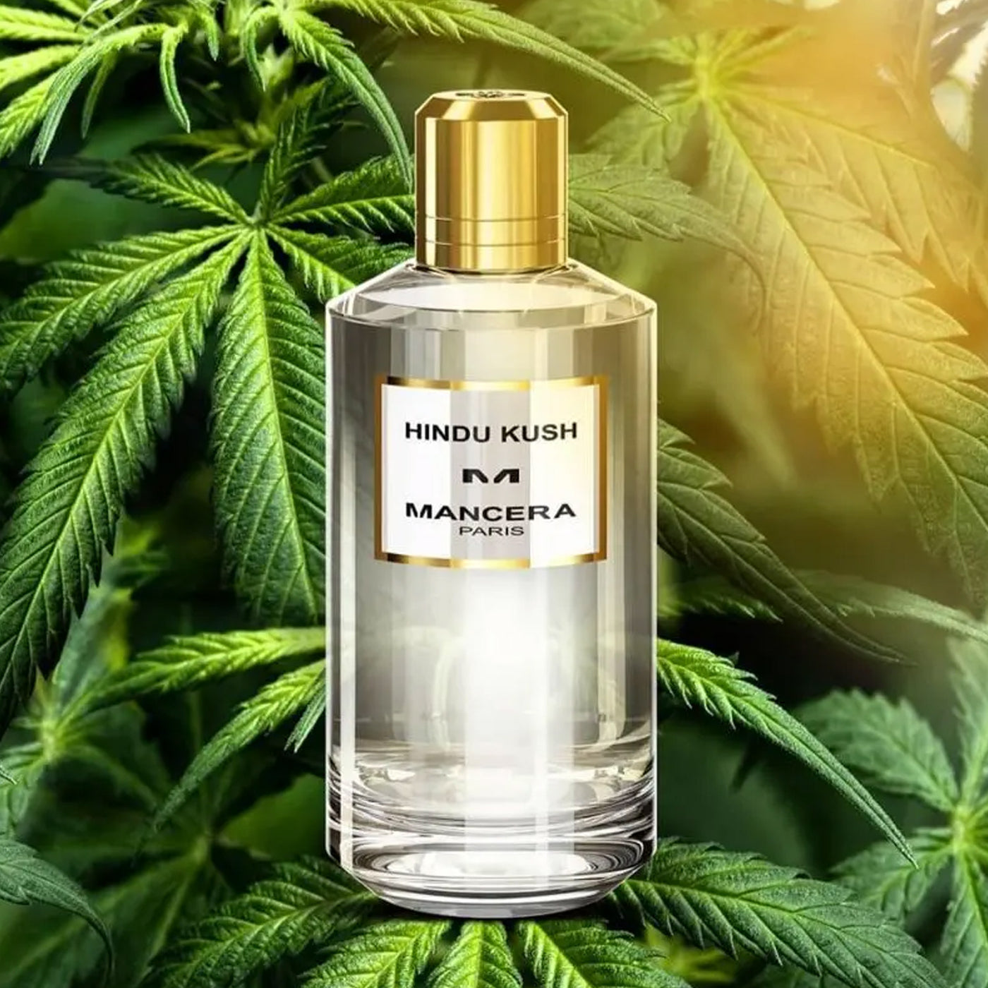 MANCERA HINDU KUSH 120 ML