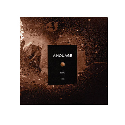 AMOUAGE DIA MAN EDP 100ML