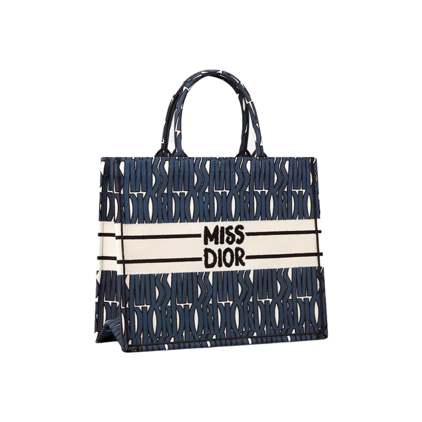Dior Large Book Tote