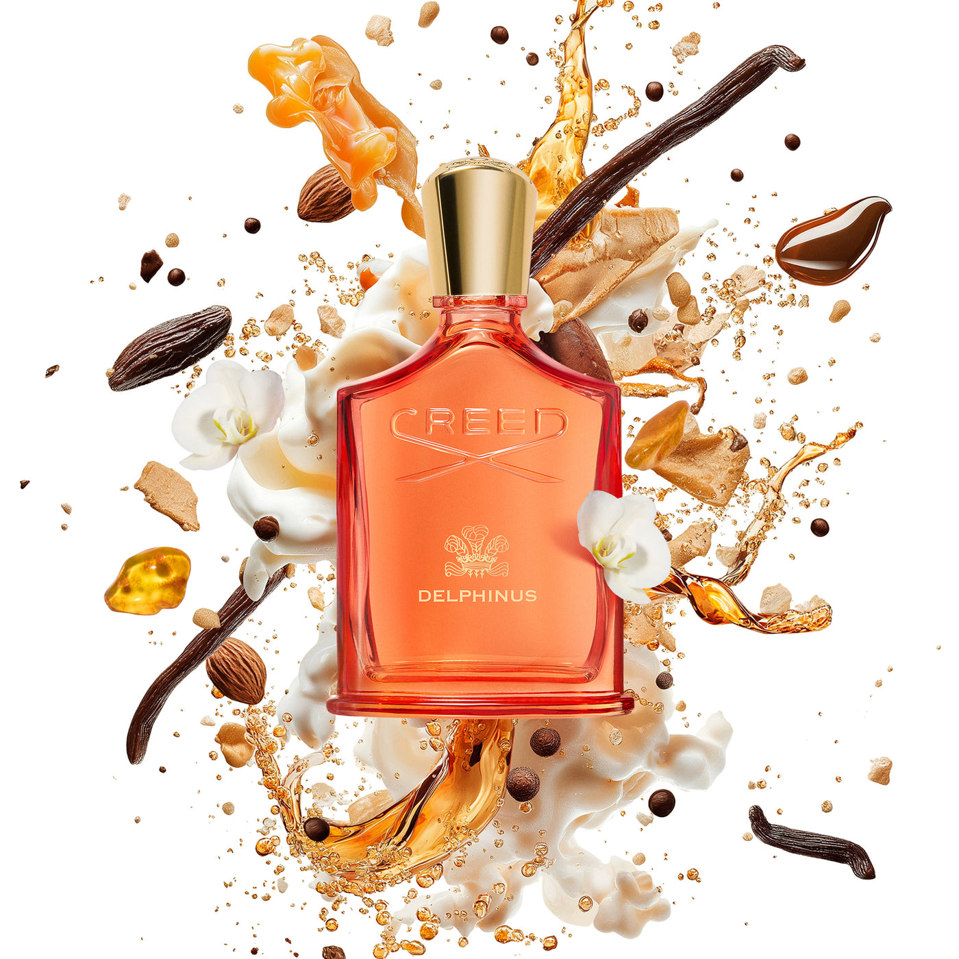 CREED DELPHINUS 100ML