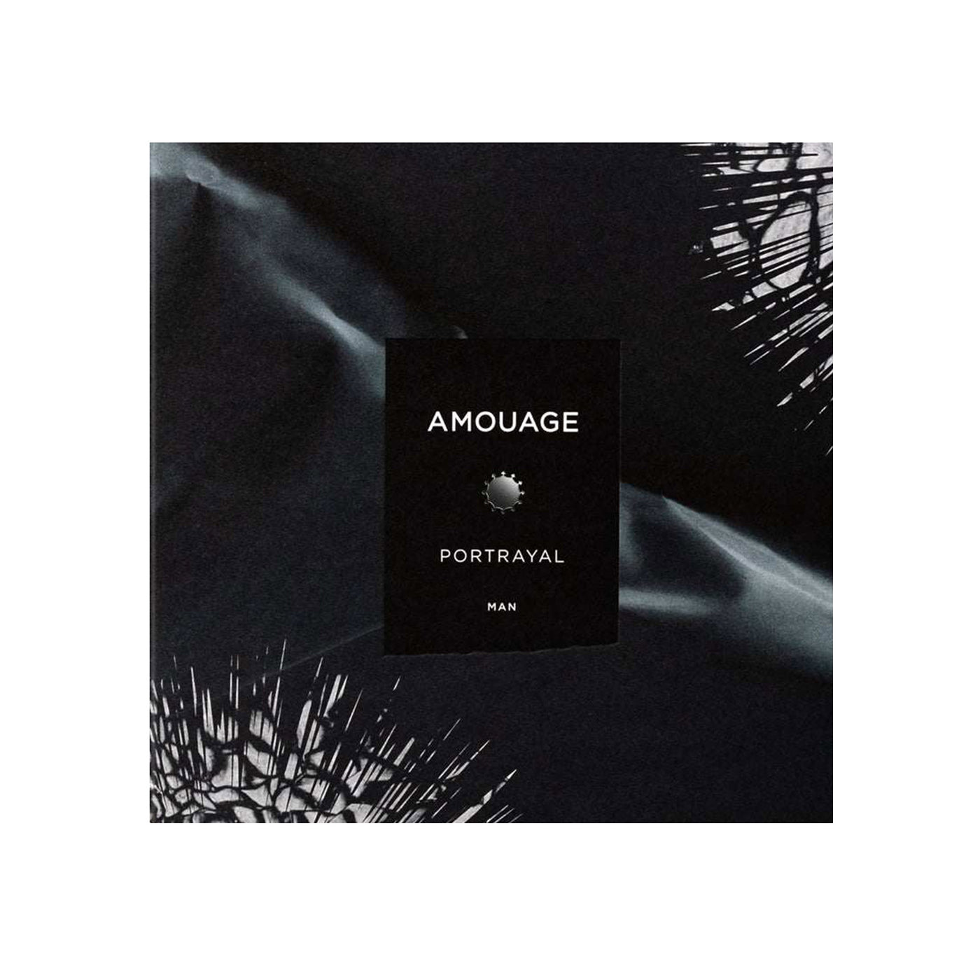 AMOUAGE PORTRYAL MEN EDP 100ML