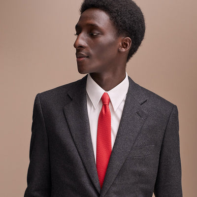 Hermes Faconnee H 24 Tie