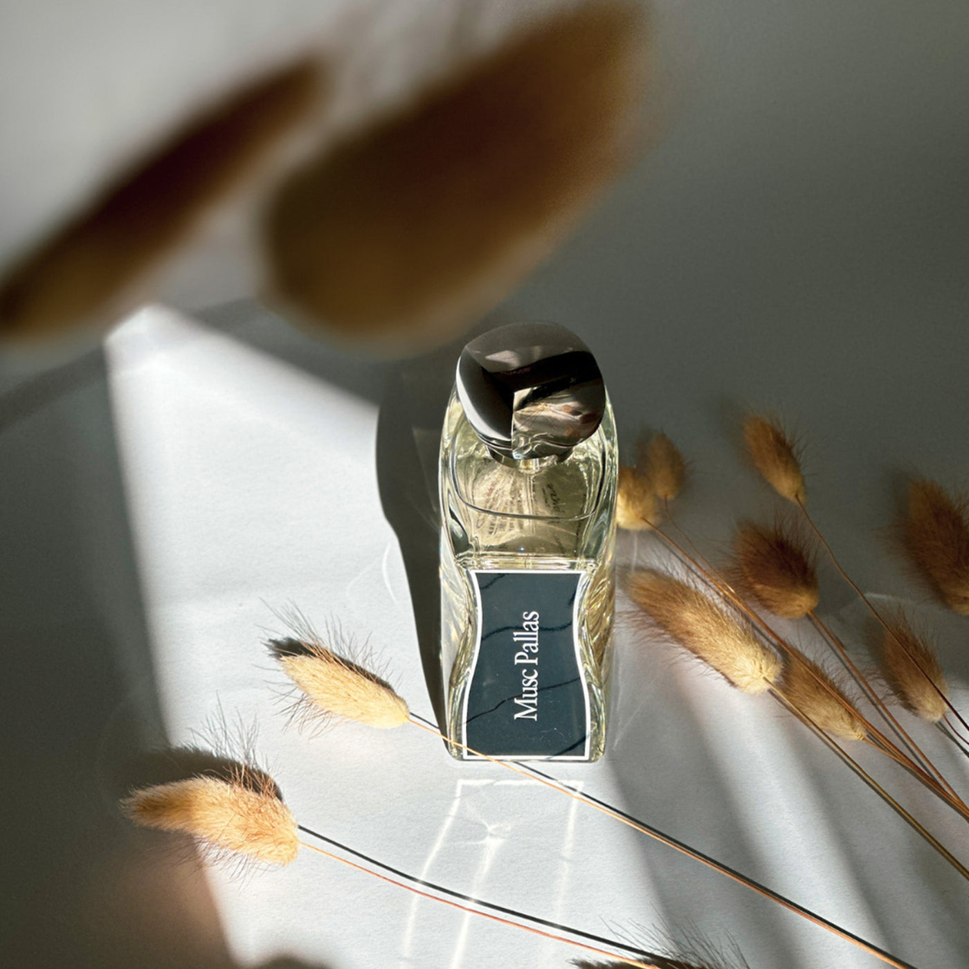 Jovoy - Musc Pallas EDP 100ML