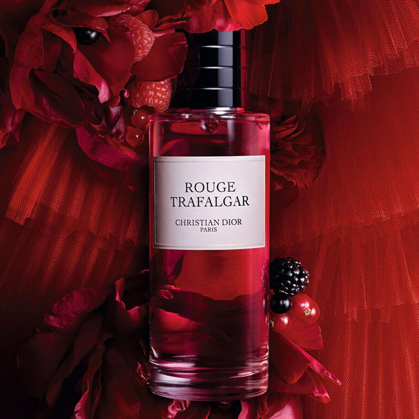 CD ROUGE TRAFALGAR EDP 100ML