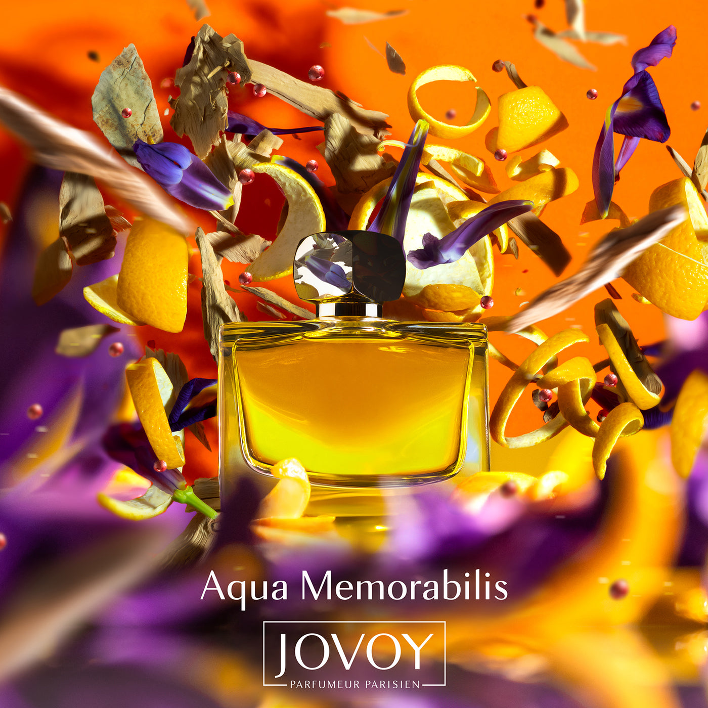 Jovoy - Aqua Memorabilis EDP 100ML