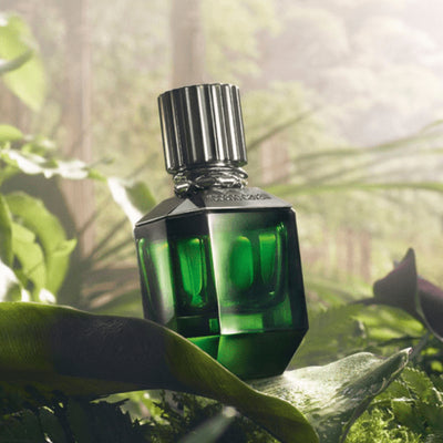 ROBERTO CAVALI PARADISE FOUND MEN EDT 75ML