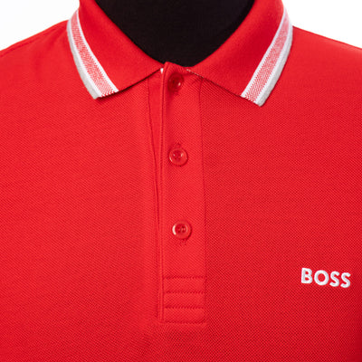 Paddy Polo Shirt In Cotton Piqué With Logo Undercollar