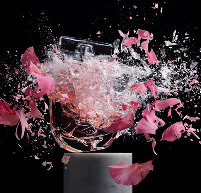 CREED WIND FLOWER EDP 75ML