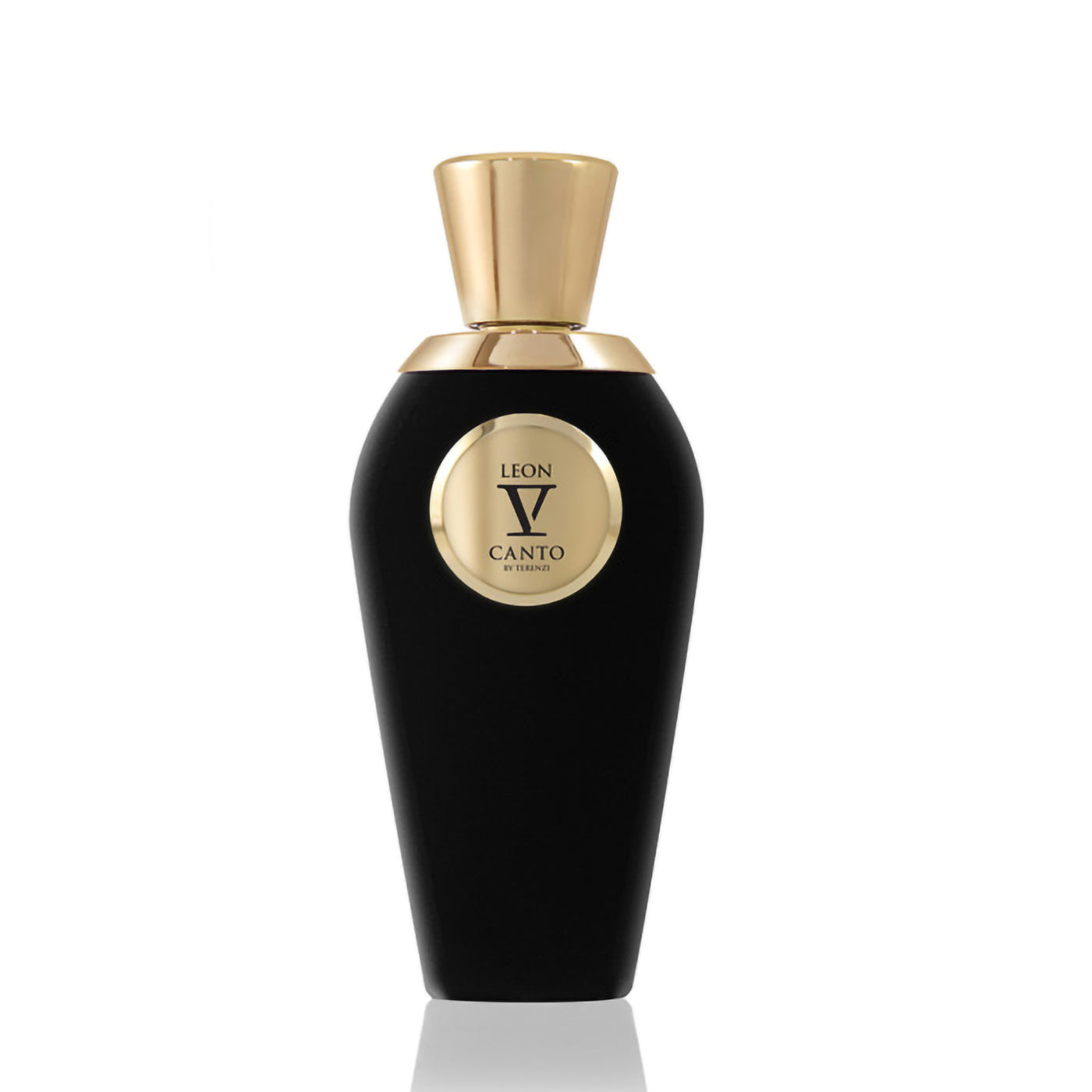 V-CANTO LEON EDP 100ML