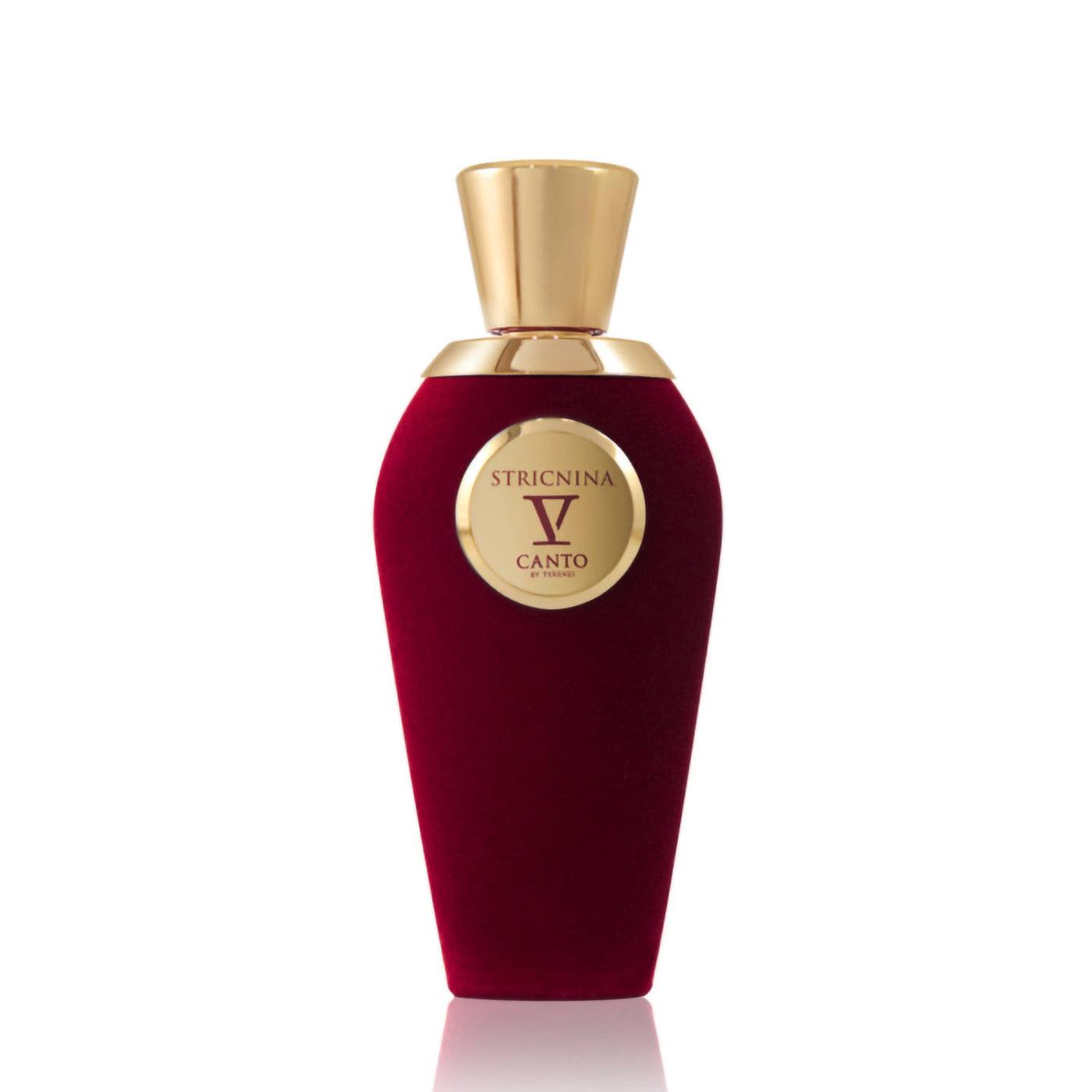 V-CANTO STRICNINA EXTRAIT DE PARFUM 100ML