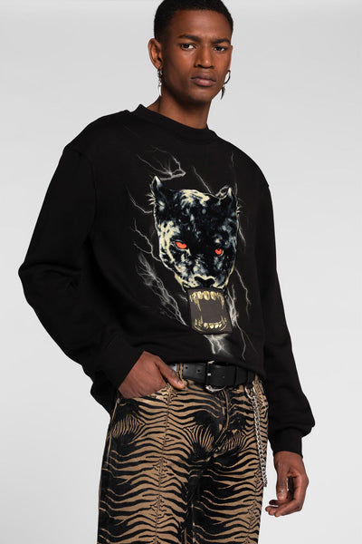 PNT68I CF050 ROBERTO CAVALLI MEN SWEATSHIRT