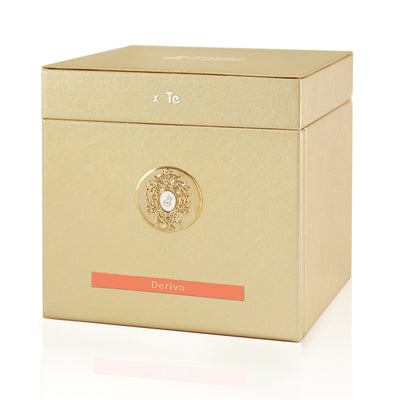 TIZIANA TERENZI DERIVA EDP 100ML