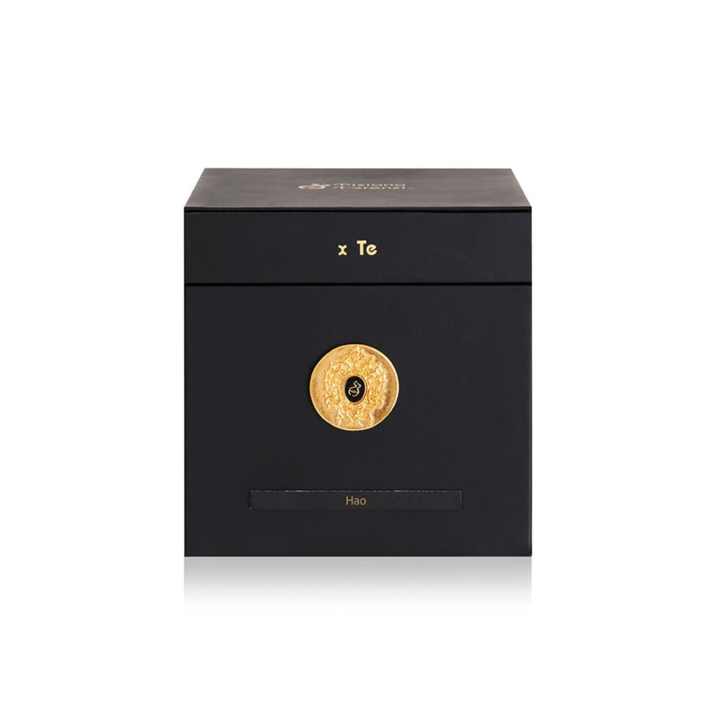 TIZIANA TERENZI HAO EDP 100ML