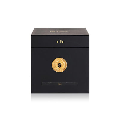 TIZIANA TERENZI HAO EDP 100ML