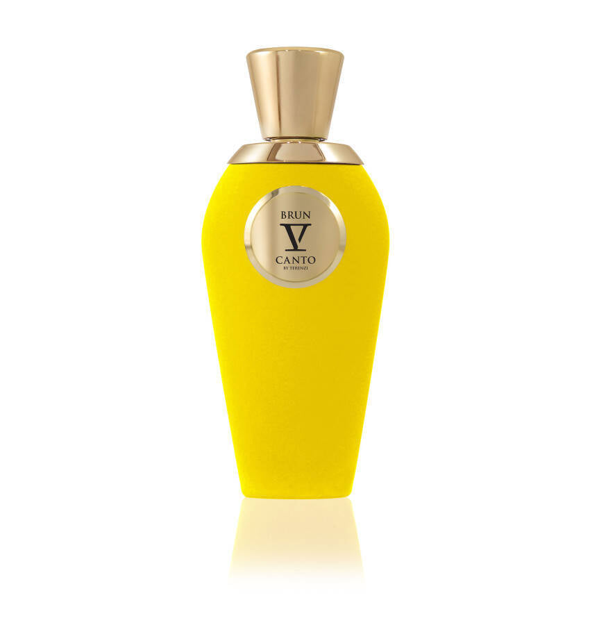 V-CANTO BRUN EXTRAIT DE PARFUM 100ML