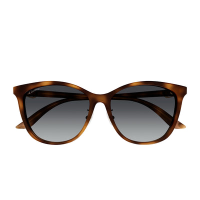 Initiation Feminine Soft Cat Eye Shape