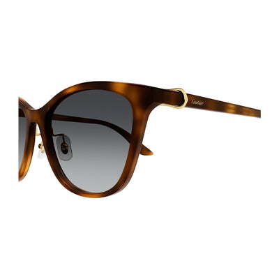 Initiation Feminine Soft Cat Eye Shape