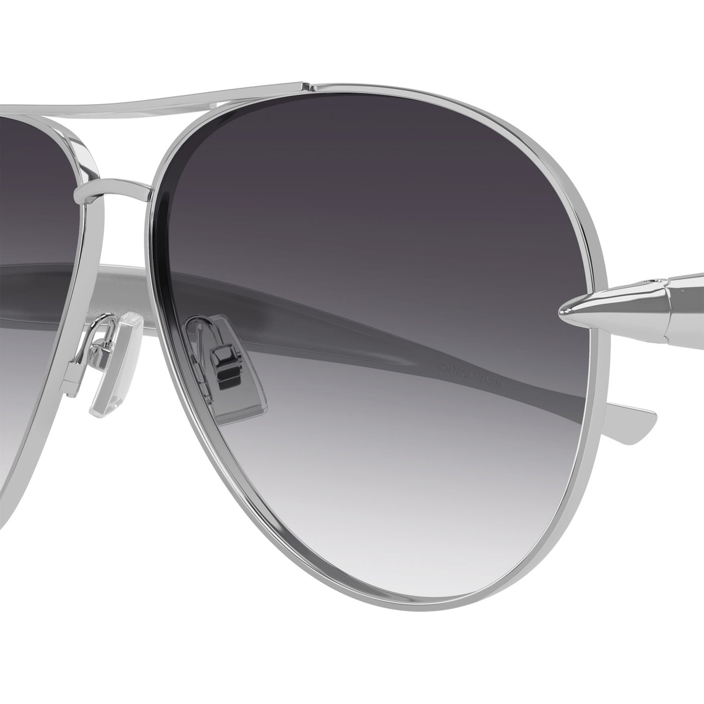 Unapologetic  Iconic Sardine Temple