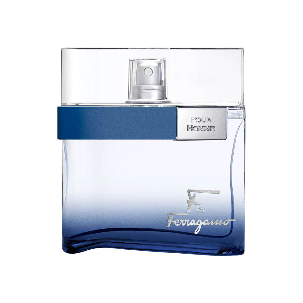 SALVATORE FERRAGAMO FREE TIME POUR HOMME EDT 100ML