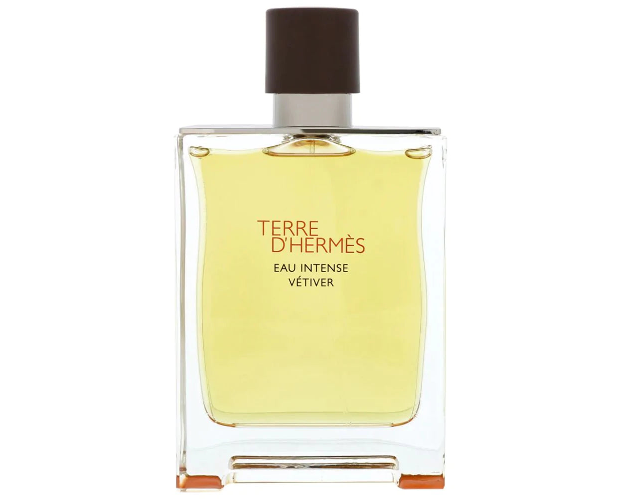 TERRE DE HERMSE EAU VITTIVER INTENSE EDP 100ML